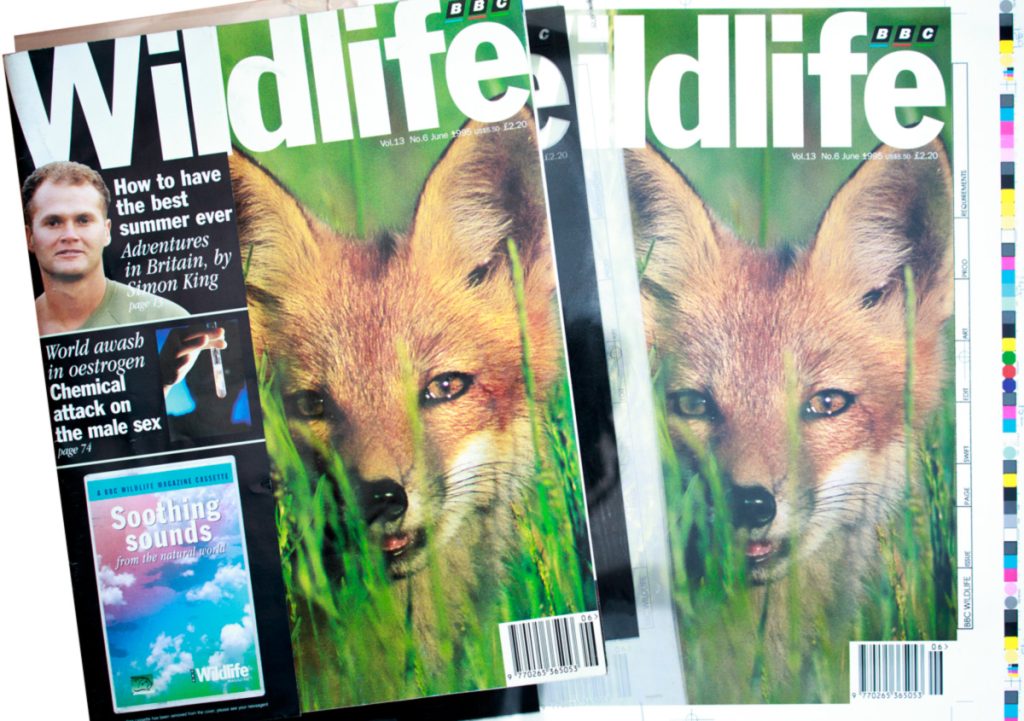 BBC Wildlife Magazine Cover